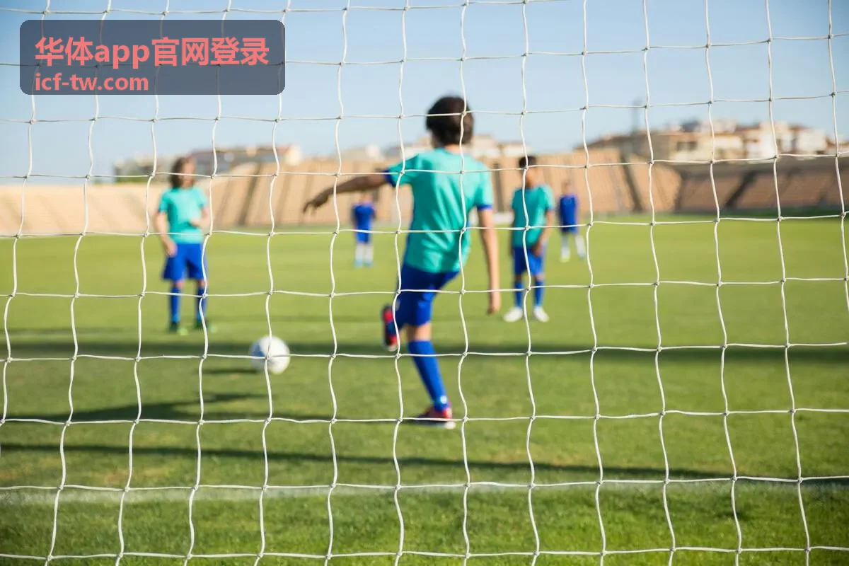华体app官网登录异常提示排查示意