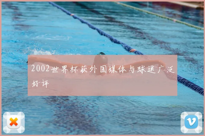 2002世界杯获外国媒体与球迷广泛好评