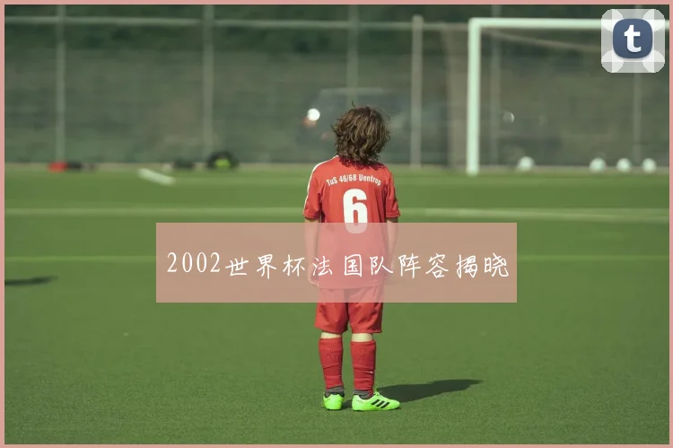 2002世界杯法国队阵容揭晓