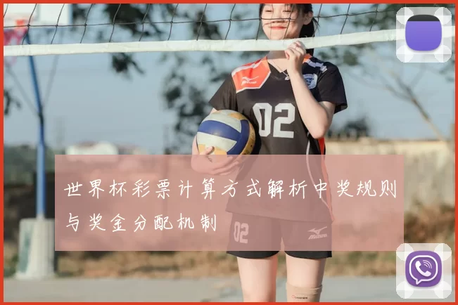 世界杯彩票计算方式解析中奖规则与奖金分配机制