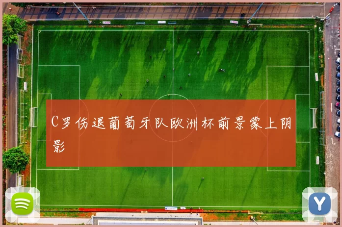 C罗伤退葡萄牙队欧洲杯前景蒙上阴影