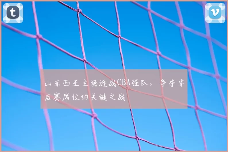 山东西王主场迎战CBA强队,争夺季后赛席位的关键之战