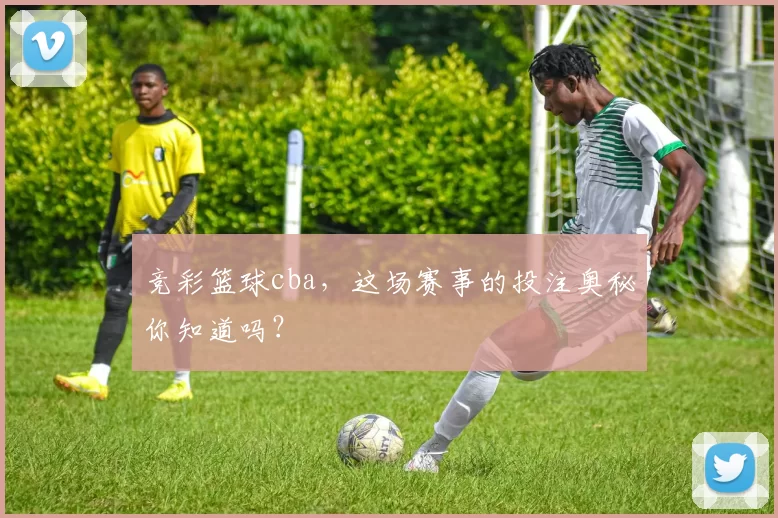 竞彩篮球cba,这场赛事的投注奥秘你知道吗?