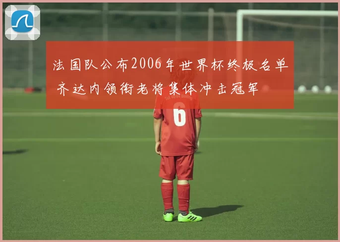 法国队公布2006年世界杯终极名单 齐达内领衔老将集体冲击冠军